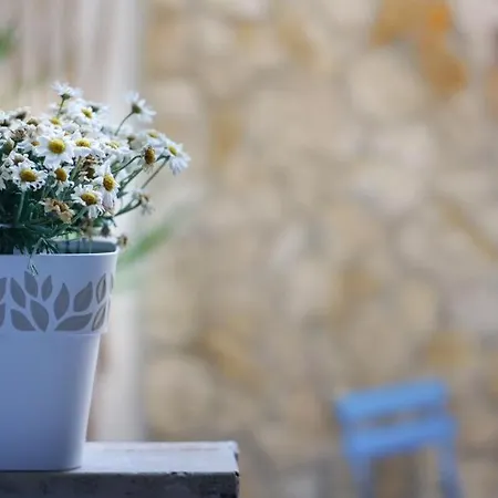 Blue Courtyard Howme Διαμέρισμα Μπάρι